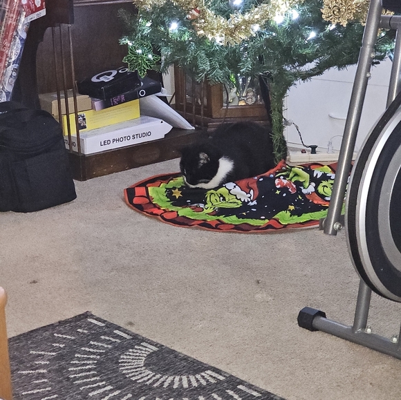 Come join me for a live show. 💜❤️. Come join the fun. - Picture 4 of 16